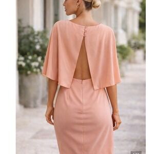 Tibi Silk Popover Shift Dress 6 Terracotta Pink Cape Back Minimalist Cocktail